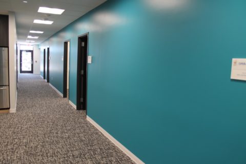 painted wall and carpet after new construction